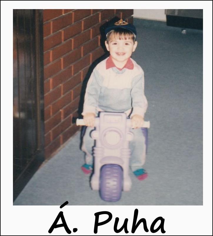 puha2b.jpg