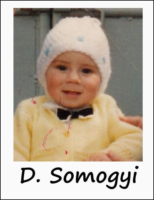 somogyi2b.jpg