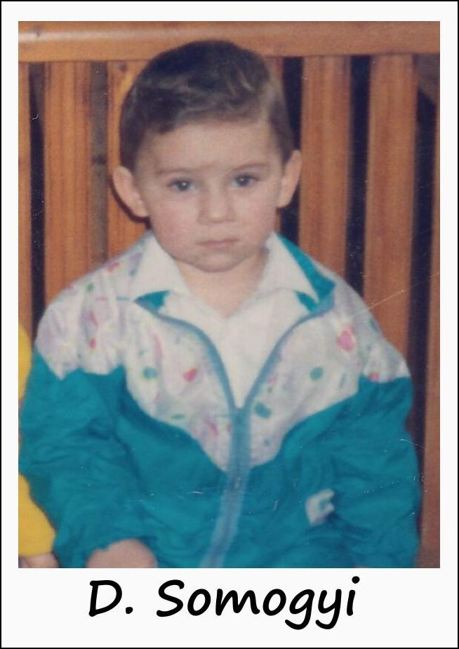 somogyi3b.jpg