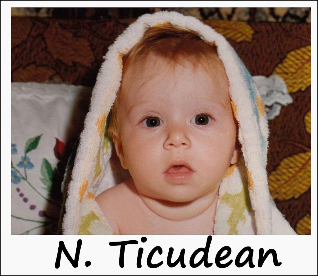 ticudean1b.jpg