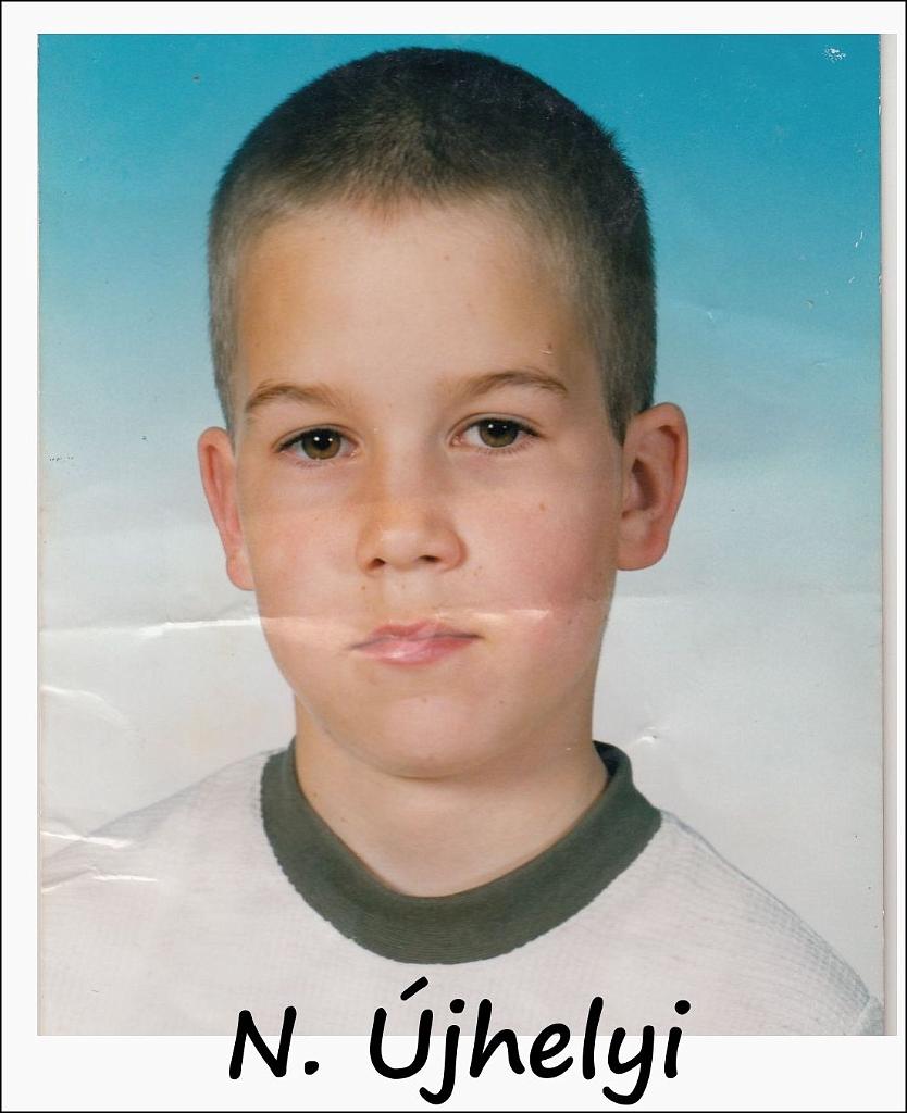 ujhelyi2b.jpg