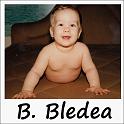 bledea1b